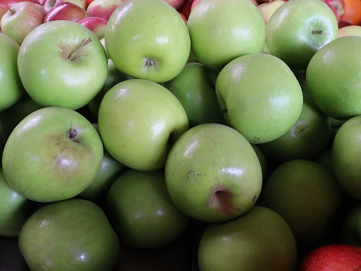 Apfel Jonagold