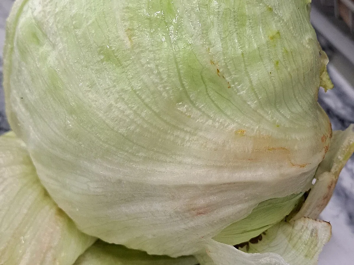 Mix Salat
