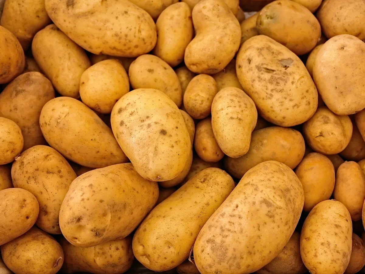 gesch Kartoffel