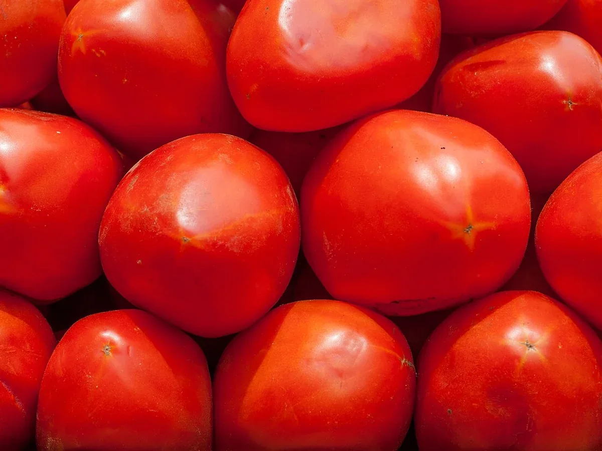 Tomaten